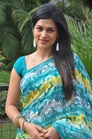 Shraddha Das Saree Pics